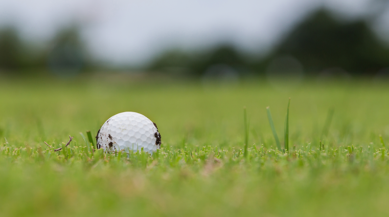 Mudball golf