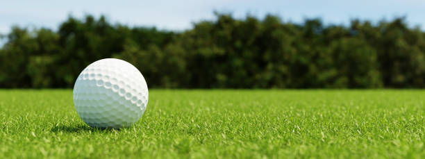 Job i golfsporten 