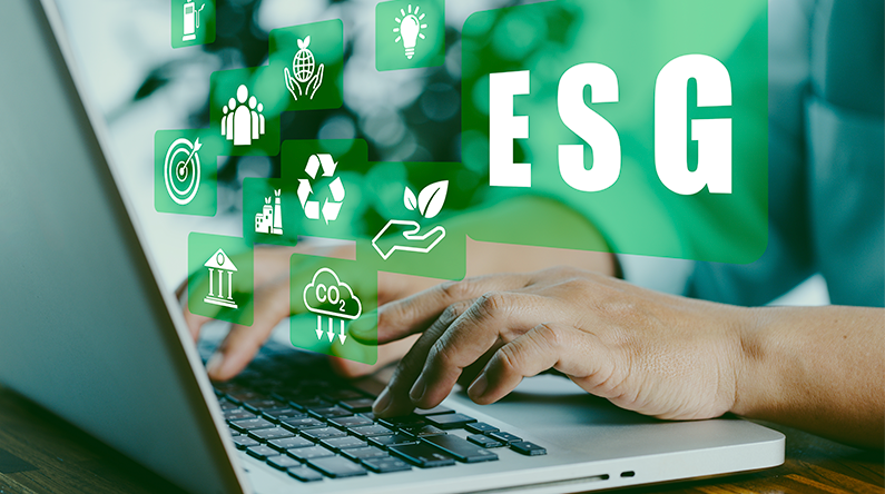 ESG regnskab