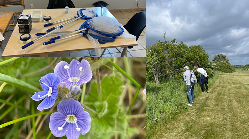 Bioblitz