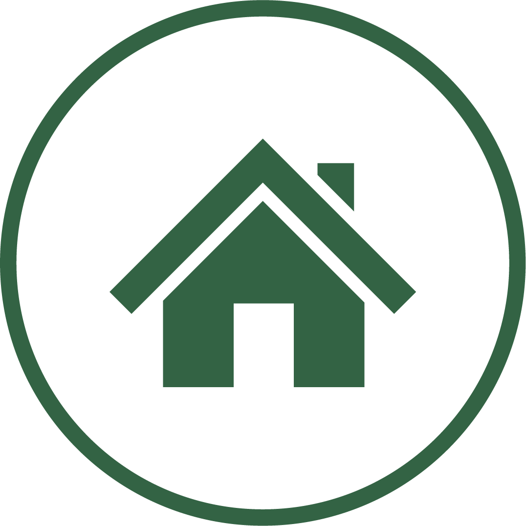 Home button
